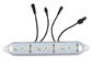 24V DMX512 RGBW Led Pixel Modul Lichter für Vergnügungsfahrten wasserdicht IP67