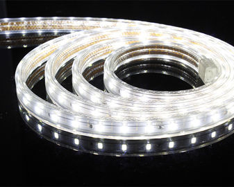 Streifen-Licht-Energieeinsparung 110v 220v 5630 Hochspannungs-LED mit Adapater
