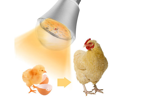 Wasserdichte LED Beleuchtungs-Lichter Dimmable 9W des Hühnerbauernhof-