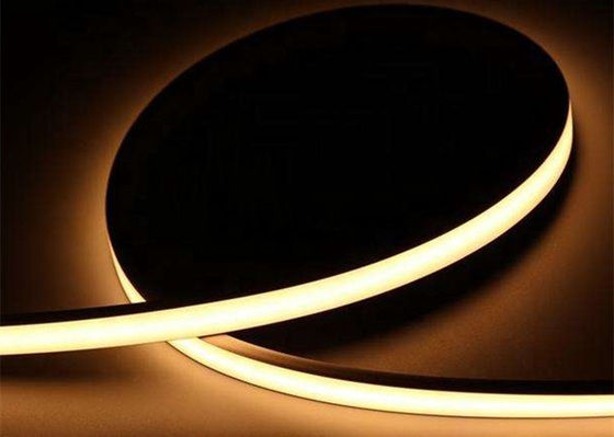 IP67 LED Wechselstrom-PFEILER Streifen-Licht 110V 220V 230V 20m 30m 50m Dot Free