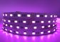 5050 RGBW LED Flexfarben des Streifen-Seil-Licht-5 für Dekoration 50000 Stunden Lebenszeit-