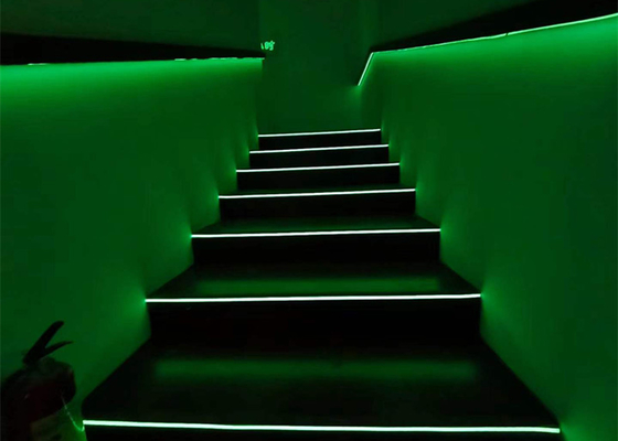 Führte helles DC12V/24V 10x10mm wasserdichtes Silikon-Neonmaterial der Sicherheits-Beleuchtungs-LED Neonlicht